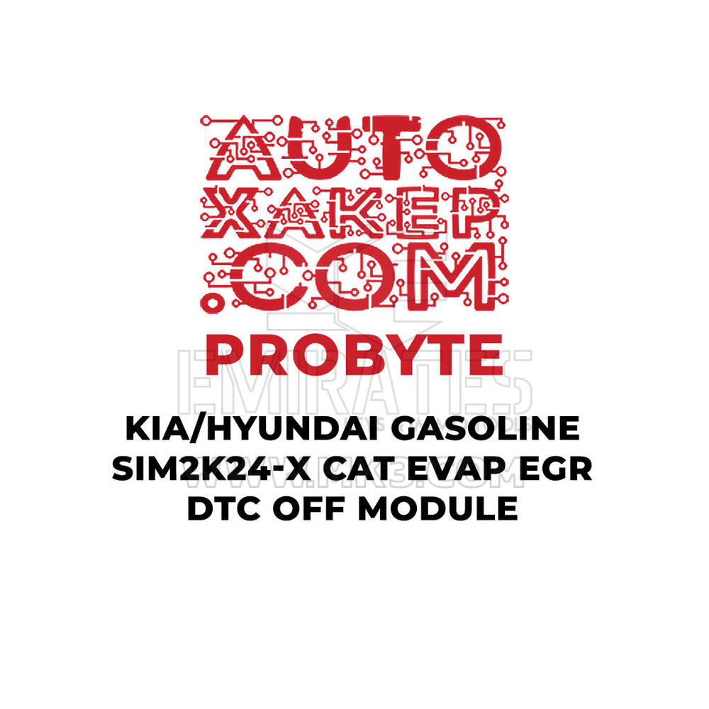 ProByte KIA / Hyundai Gasolina SIM2K-24x CAT EVAP EGR DTC Módulo desligado