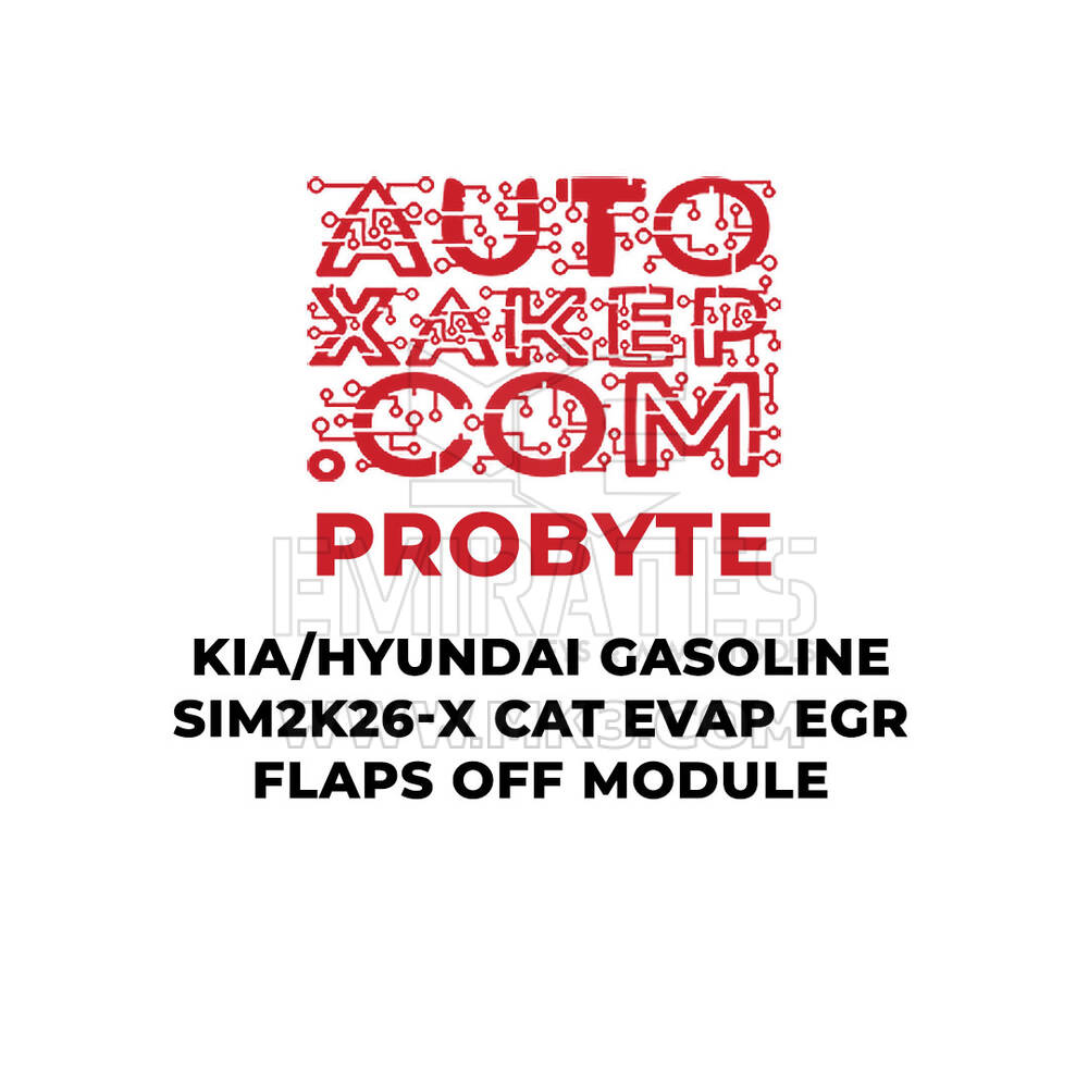 ProByte KIA / Hyundai Gasoline SIM2K-26x CAT EVAP EGR FLAPS OFF Module