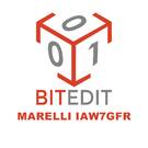 Module BitEdit Marelli IAW7GFR