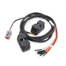 New MAGIC - FLX01.003 - BootROM Cable Kit for Cummins Units - work in Bench on Cummins control units, with BootROM function and rigid case branded Magicmotorsport included | Emirates Keys -| thumbnail