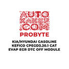 Módulo de desactivación de DTC de EGR y EVAP para KIA/Hyundai Gasolina Kefico CPEGD3.20.1 CAT ProByte