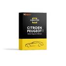 Abrites PN00F - Conjunto completo de funções especiais PSA (Peugeot, Citroen) PN009, PN017, PN019, PN020 e PN021