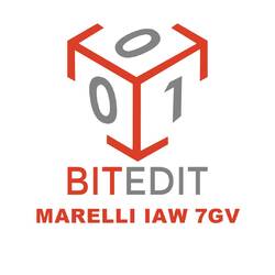 Модуль BitEdit Marelli IAW 7GV