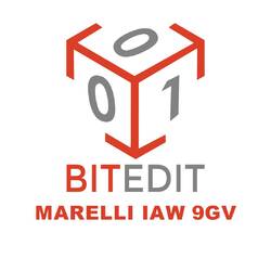 Модуль BitEdit Marelli IAW 9GV