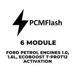 PCMflash - 6 Module Ford Petrol Engines 1.0, 1.6L, Ecoboost T-PROT12 Activation