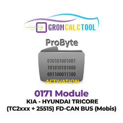 GromCalcTool 0171 Module KIA - HYUNDAI TRICORE (TC2xxx + 25515) FD-CAN BUS (Mobis)