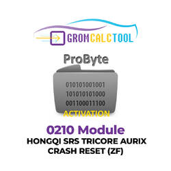 Módulo GromCalcTool 0210 HONGQI SRS TRICORE AURIX CRASH RESET (ZF)