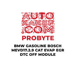 ProByte BMW Gasoline Bosch MEVD17.2.9 CAT EVAP EGR DTC off Module
