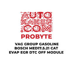 ProByte VAG Group Gasoline Bosch MED17.5.21 CAT EVAP EGR DTC OFF Module
