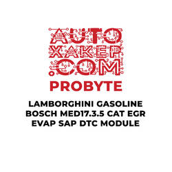 ProByte Lamborghini Gasoline Bosch MED17.3.5 CAT EGR EVAP SAP DTC Module