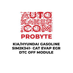 ProByte KIA / Hyundai Gasoline SIM2K-341 CAT EVAP EGR DTC off Module