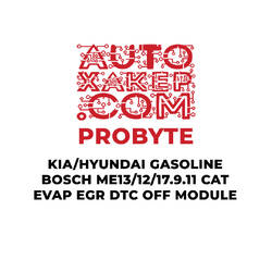 ProByte KIA / Hyundai Gasoline Bosch ME17.9.11/12/13 CAT EVAP EGR DTC off Module