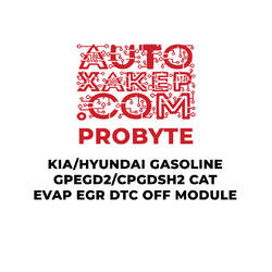 ProByte KIA / Hyundai Gasoline GPEGD2/CPGDSH2 CAT EVAP EGR DTC OFF Module