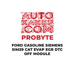 ProByte Ford Gasoline Siemens Sim29 CAT EVAP EGR DTC OFF Module