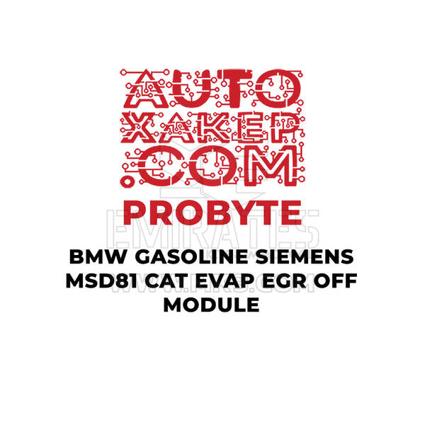 Модуль ProByte BMW Gasoline Siemens MSD81 CAT EVAP EGR OFF