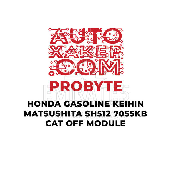 Modulo ProByte Honda Benzina KEIHIN Matsushita SH7055 512KB CAT OFF