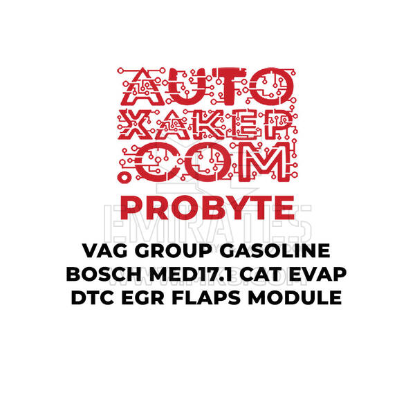 ProByte VAG Group Gasoline Bosch MED17.1 CAT EVAP DTC EGR FLAPS Module