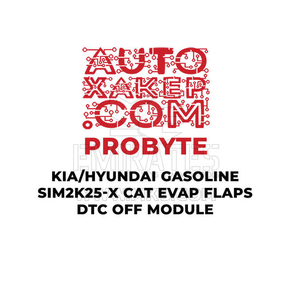 ProByte KIA / Hyundai Gasoline SIM2K-25x CAT EVAP FLAPS DTC OFF Module