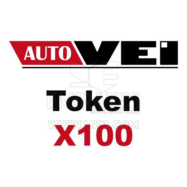 AutoVEI Truck Explorer 100 Token Charge